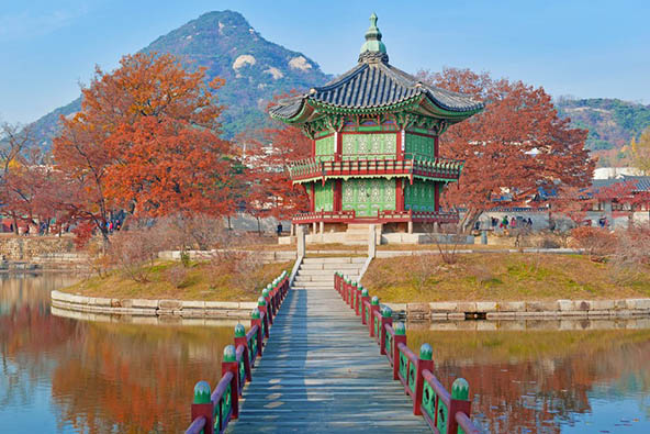 דרום קוריאה והאי ג'ג'ו – תרבות, חדשנות ופריחת הדובדבן