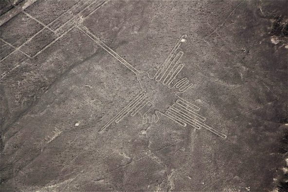צילום מטיסה מעל נאסקה: "הקוליברי" (צופית)