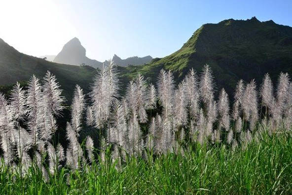 12 יום טרק באיי קאבו ורדה