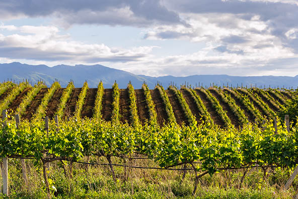 טיול יין בלקן 23-29.4