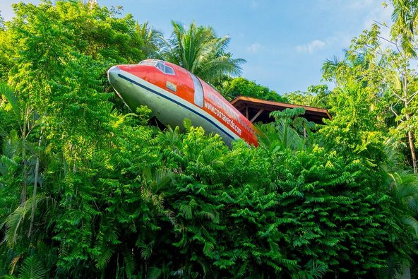 מטוס בואינג 727 שנראה כאילו התרסק ביער הוסב לסוויטה מפנקת