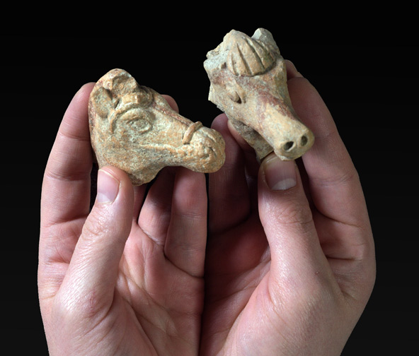 פסלוני הסוסים שהתגלו לאחרונה בשני מקומות בצפון הארץ | צילום: קלרה עמית, רשות העתיקות