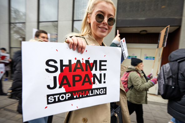 הפגנה בלונדון בתחילת 2019, לאחר שיפן הודיעה על כוונתה לחדש את ציד הלווייתנים