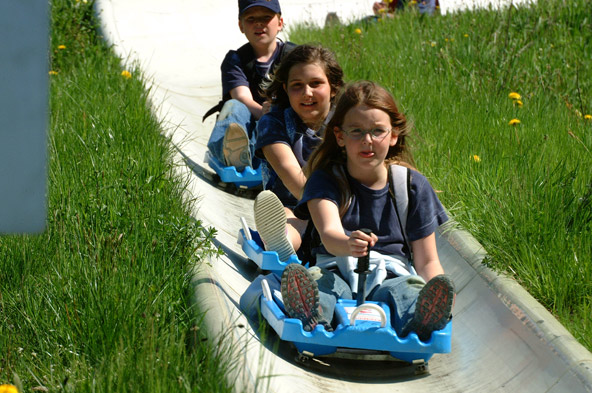 הרפתקאות בהר הפרא מאוטרן | צילום Wildpark Mautern GmbH