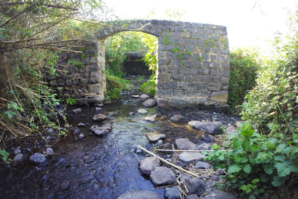 טיול בנחל ג'ילבון תחתון ו"בריכת הקצינים"