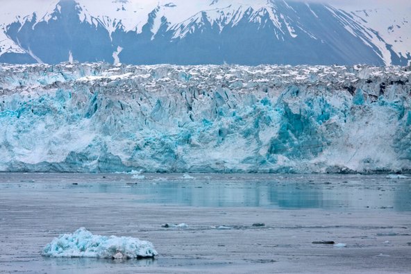 תצפית על קרחון הובארד. מהנופים הנשקפים במהלך קרוז באלסקה
