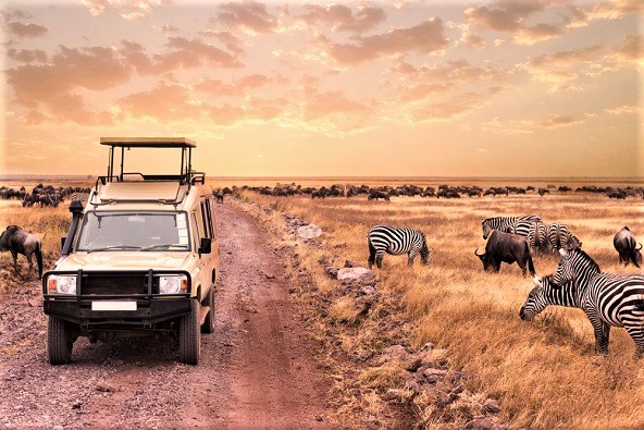 טיול לטנזניה וזנזיבר בעונת הנדידה הגדולה