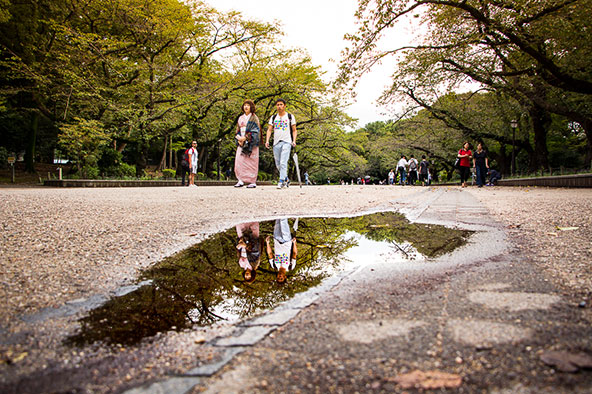 להימלט מהמולת טוקיו בגנים ובפארקים