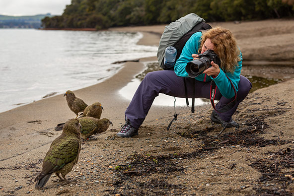 מפגש קרוב במיוחד עם ציפורי קיאה