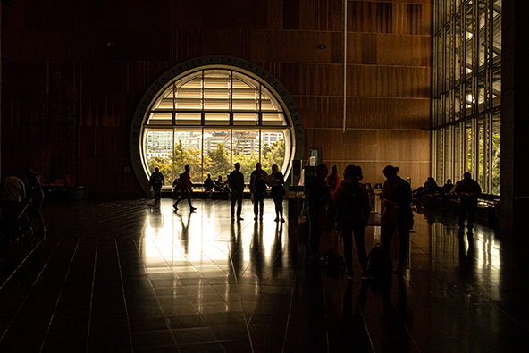 מוזיאון טה פאפא בוולינגטון