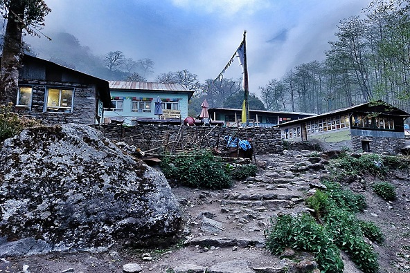 טרק בנפאל 16 יום