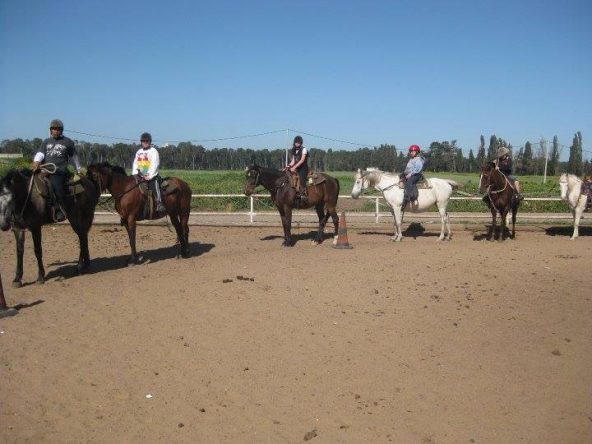 חוות היער – חוות סוסים ביער חדרה