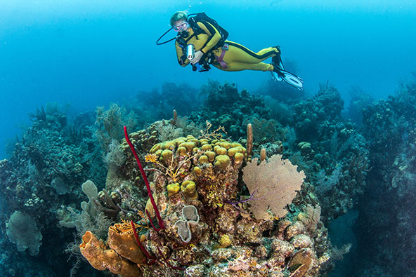 האיים שמול חופי בליז מהווים את מחסום שוניות האלמוגים השני בגודלו בעולם. גן עדן לחובבי צלילה 