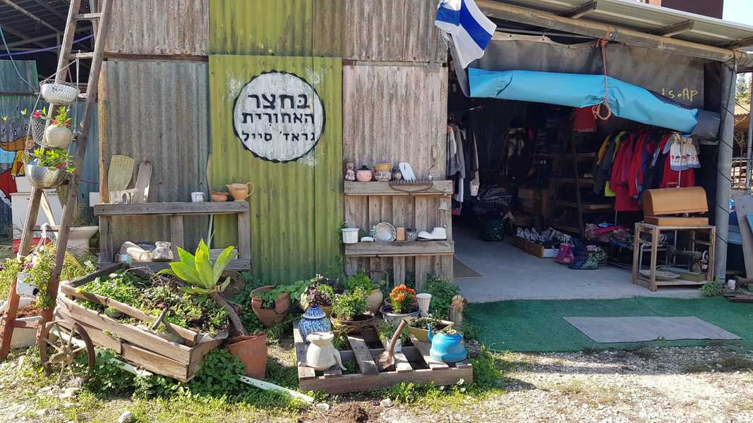 בחצר האחורית