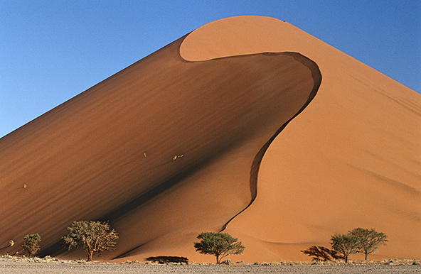 דיונה במדבר נמיב