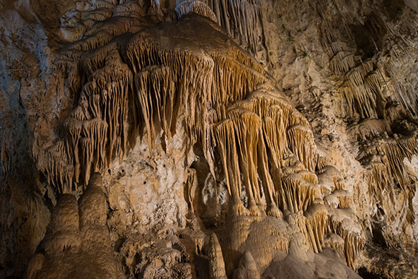 נטיפים במערה בפארק הלאומי מערות קרלסבד. בשטח הפארק יש מאות מערות, שרק חלקן נחקרו