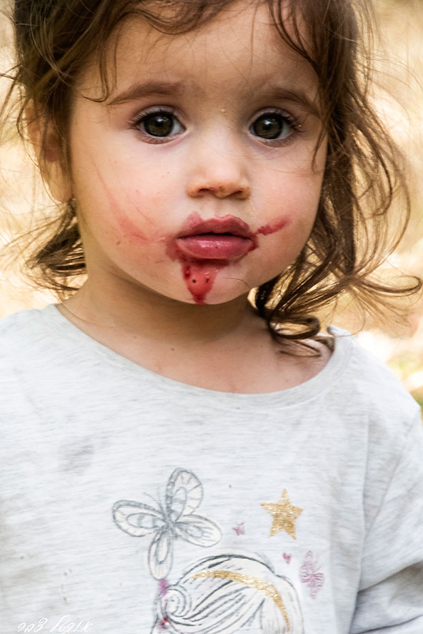 לא חשוב כמה דובדבנים נותרו על העצים, ילדים תמיד נהנים לקטוף ולאכול (וגם המבוגרים כמובן)