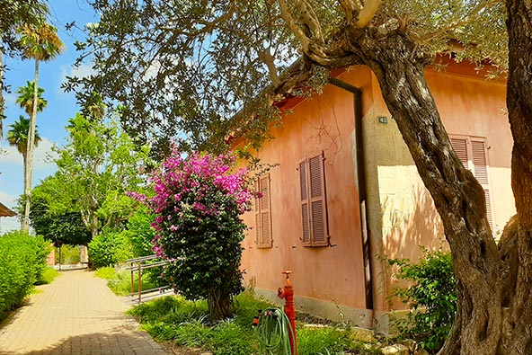 טיול בזכרון מוביל את המבקרים לשלל פינות חמד