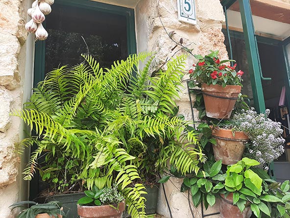 טיול בזכרון מוביל את המבקרים לשלל פינות חמד