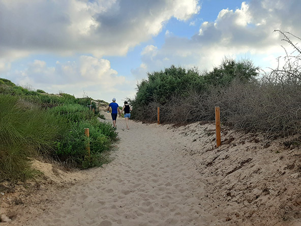 הפארק האקולוגי באשדוד