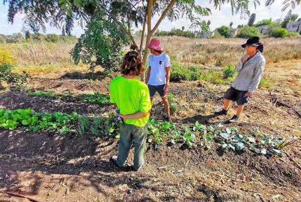 העבודה היא מרצון בלבד, כל אחד יודע מה מדוייק ונכון לו