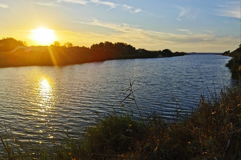 יצאתי לטייל באופני ההרים שלי לאורך נחל אלכסנדר