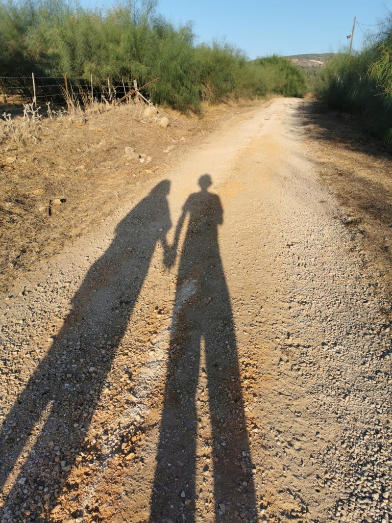 ההיתה זו מציאות או שמא היה זה דמיון