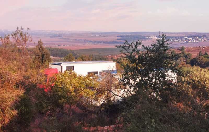 מעל העצים נשקף הנוף הכפרי של עמק איילון. צילום: רונן רז