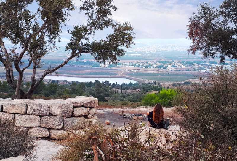 צילום: רונן רז