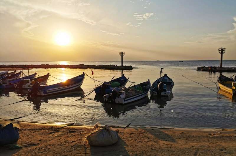 הדייגים אומרים שהסתיו היא העונה הטובה ביותר לצאת לדוג בים