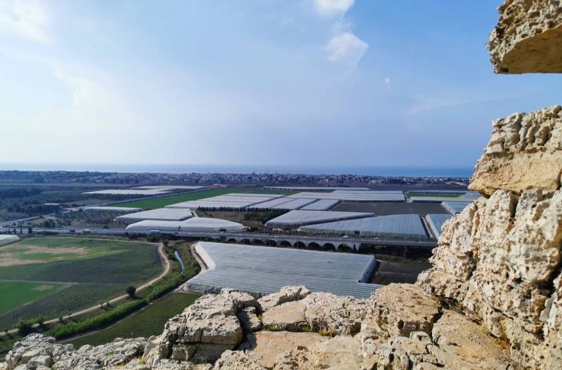 מבט מחוטם הכרמל אל חוף הכרמל. צילומים: רונן רז