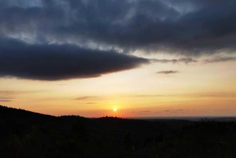 צילום: רונן רז