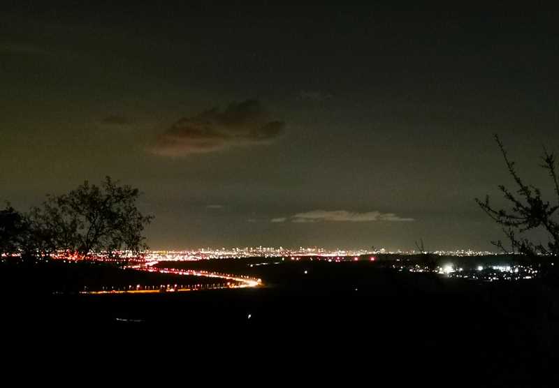 צילום: רונן רז