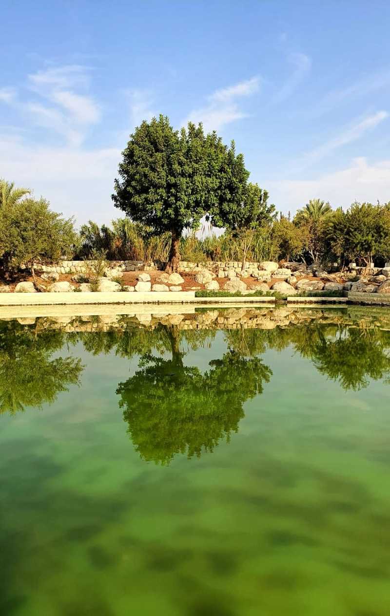 צילום: קרן גלעד