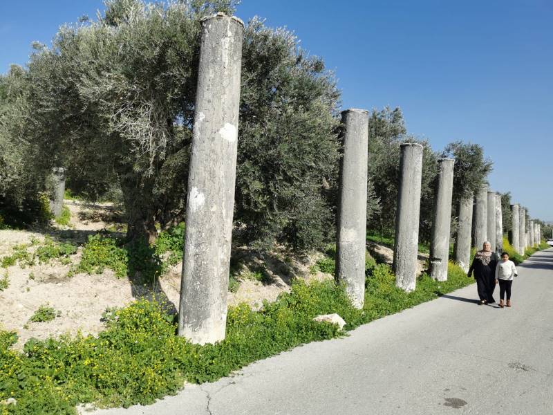 הצצתי על שדירת העמודים ומגדלי השמירה של סבאסטיה, היא שומרון בירת ישראל המקראית