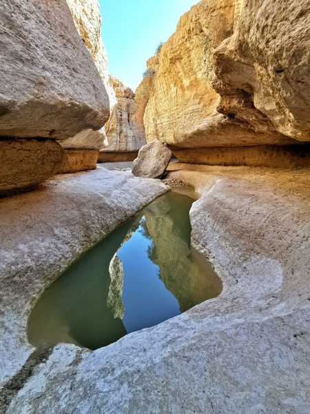 בחורף הזה ירדו גשמים על הרי חברון, המדבר שטף והגבים התמלאו במים נקיים וקרים