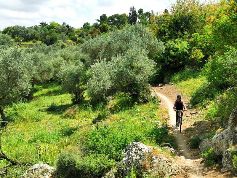 מסיבת יומולדת לידידתי הקרוואניסטית מירי נוה בפארק קנדה