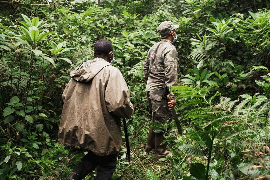 תושבי הכפרים הסמוכים לשמורה מועסקים בתפקידים שונים שעוזרים לפרנסת המשפחה ותורמים לשמירה על הטבע