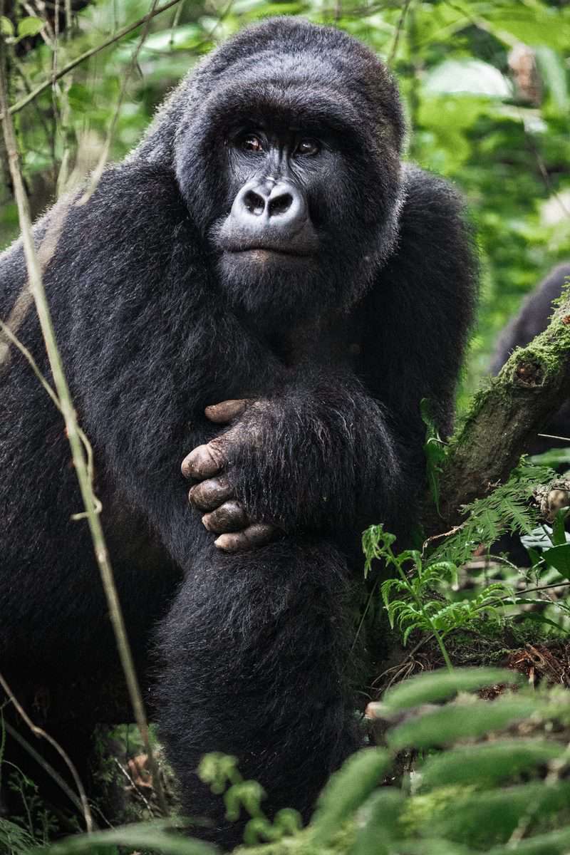 מסוג המפגשים שנשארים חרוטים לנצח בזיכרון