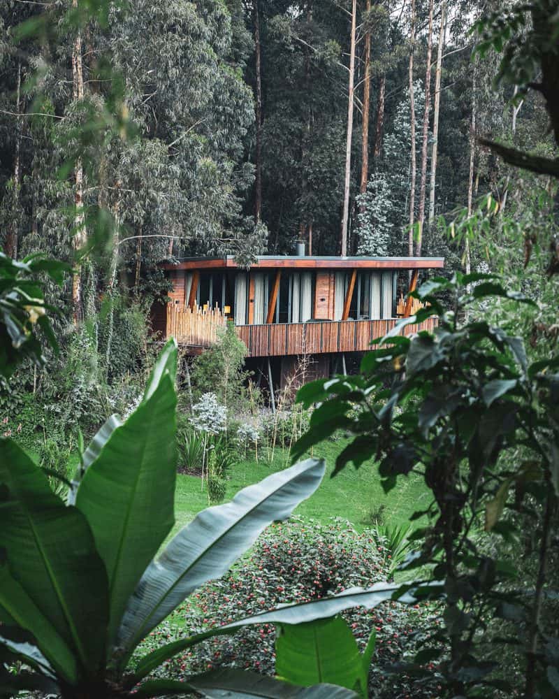 מלון One&Only Gorilla's Nest, למי שרוצה למקסם את חווית הגורילות