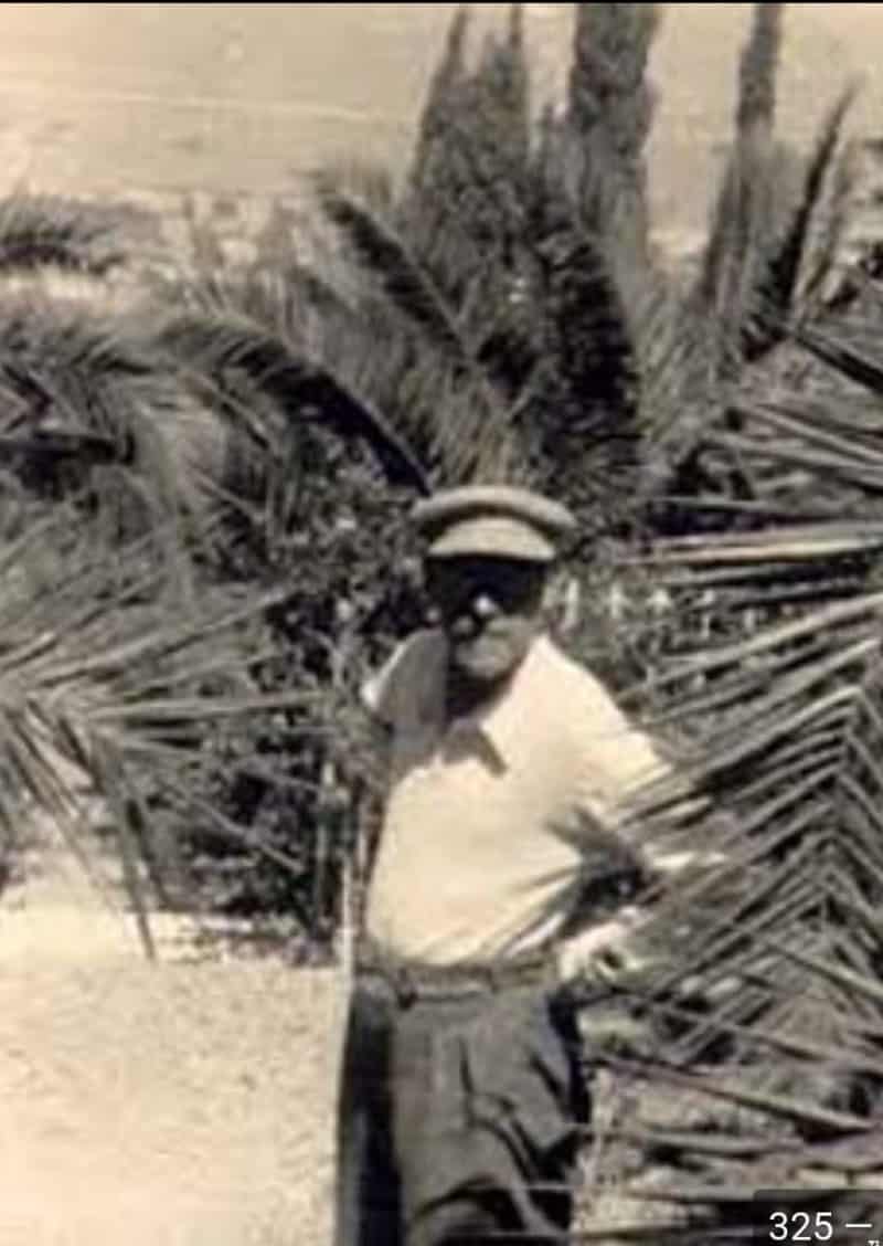 קורצ'אק בלי עניבה בין הדקלים בעין חרוד. שדרת הדקלים קיימת עד היום בעין חרוד.