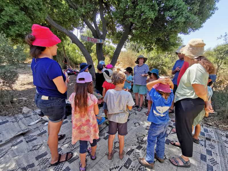 חבורה של ילדים ומבוגרים משחקים על מחצלת בקרחת יער, כמו שדונים קטנים באגדה סקנדינבית, אבל חמה