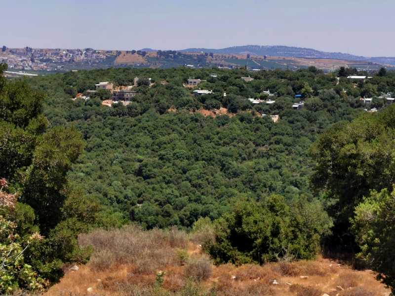 הנחלים צבעון ודישון מנקזים את המורדות הצפוניים של הר מירון, חובקים את הקיבוץ משני צידיו ומתאחדים