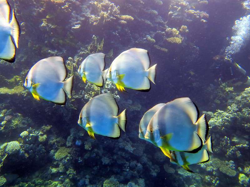 צילום חוסאם יוסף