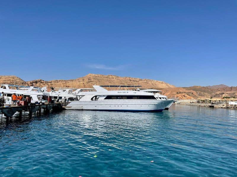 סירות הצלילה בנמל בשארם. צילום: דפנה גרגיר