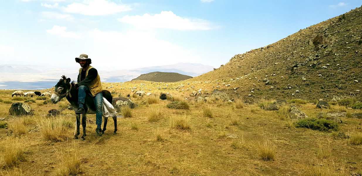 דמותו של סנשו פנשה, עוזרו הנאמן של האביר דון קישוט, ניבטת מכל עבר