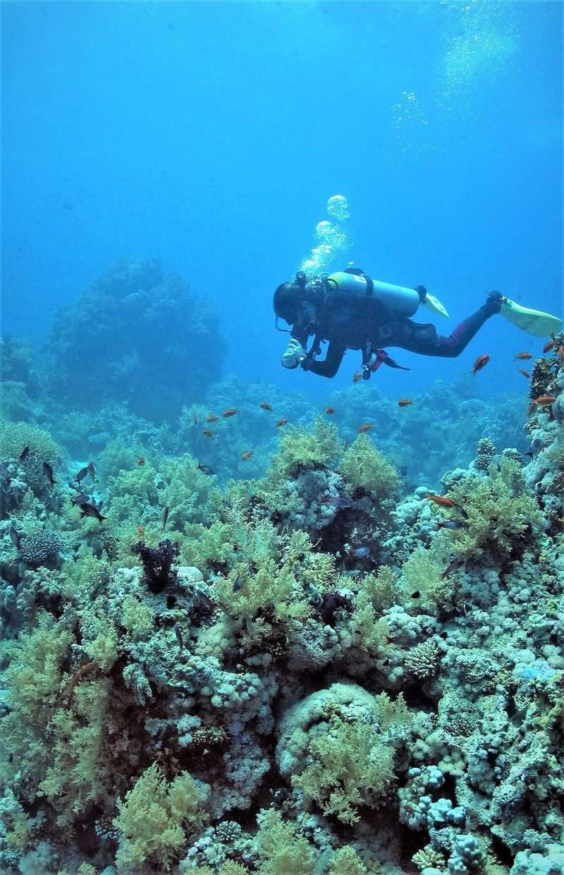 צח צולל. צילום אופיר יהושפט