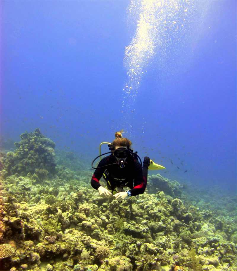 צילום: חוסאם יוסף