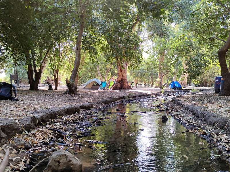 חניון יום ולילה דרדרה