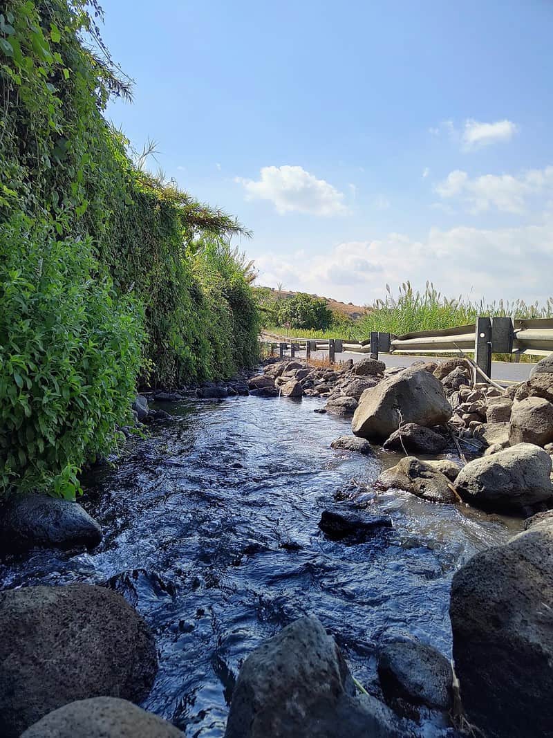 זרימות בצמוד ל-918, מעין חשק לעין גונן